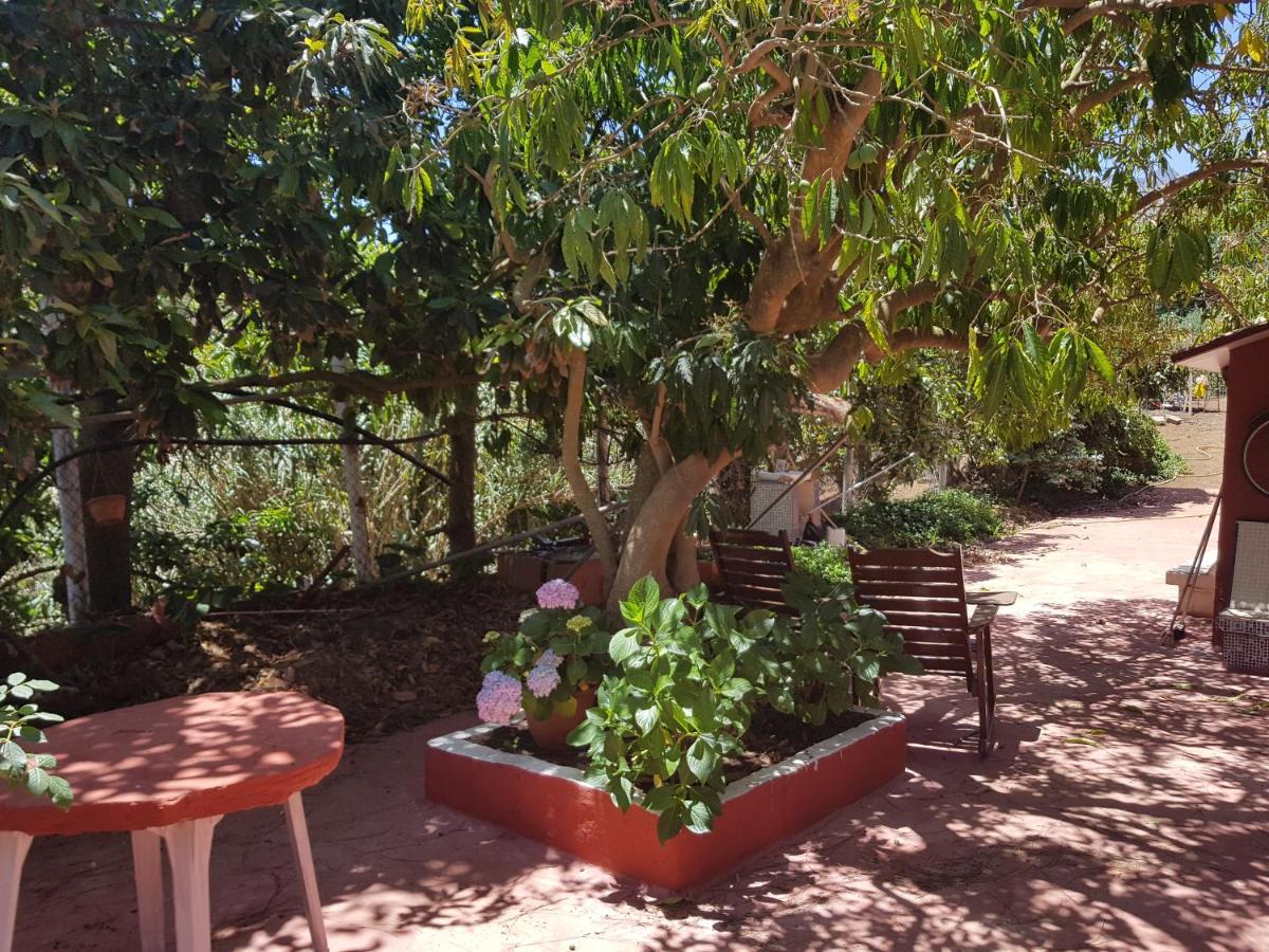 Finca Rural Torres Casas 1 Y 4 Bed & Breakfast Vega de San Mateo Cameră foto
