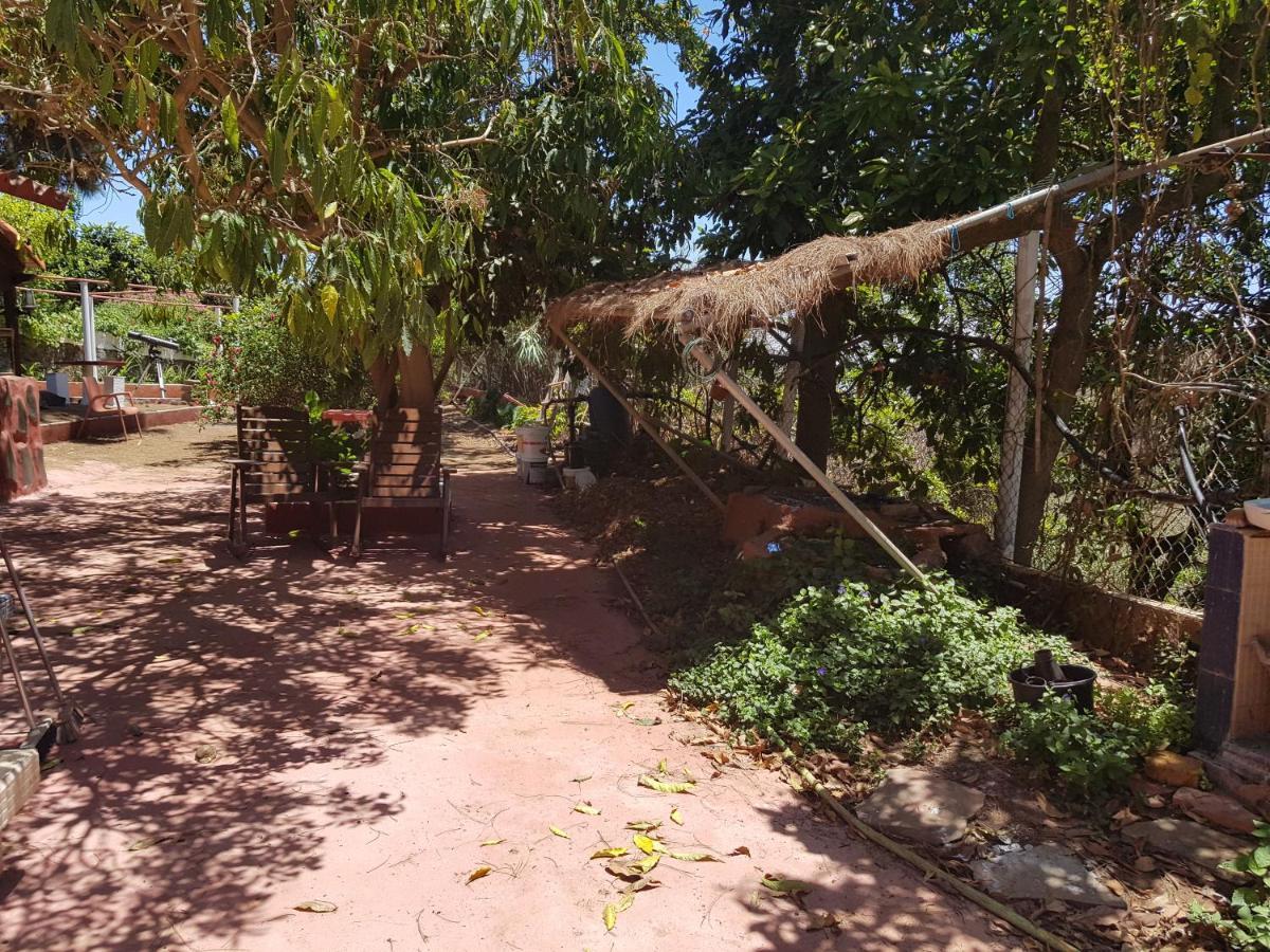 Finca Rural Torres Casas 1 Y 4 Bed & Breakfast Vega de San Mateo Cameră foto